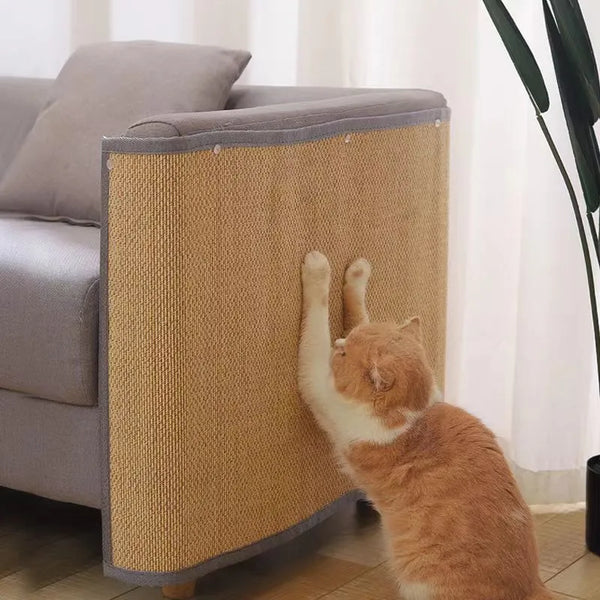 Cat Scratch Guard: Protect Your Sofa with Style