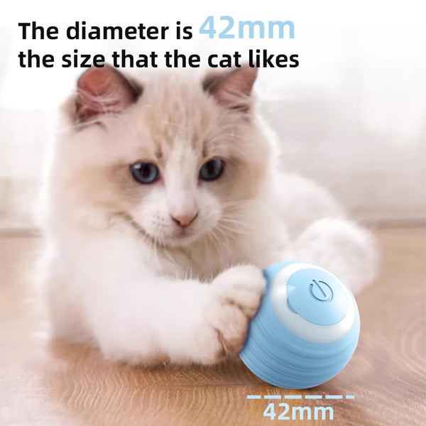 Interactive Rolling Cat Toy