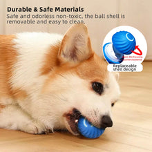 Smart Interactive Pet Toy Ball