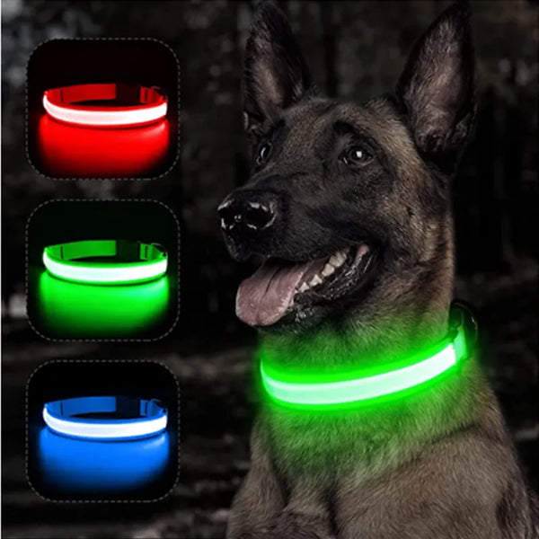Adjustable LED Glowing Dog Collar - Rechargeable & Anti-Lost