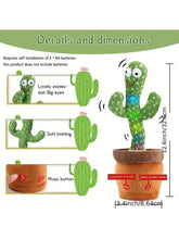 Dancing Talking Cactus Toy - Sunny Cactus