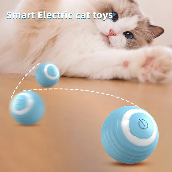 Interactive Rolling Cat Toy